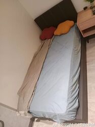 Little India Conservation Area (D8), Apartment #625639451